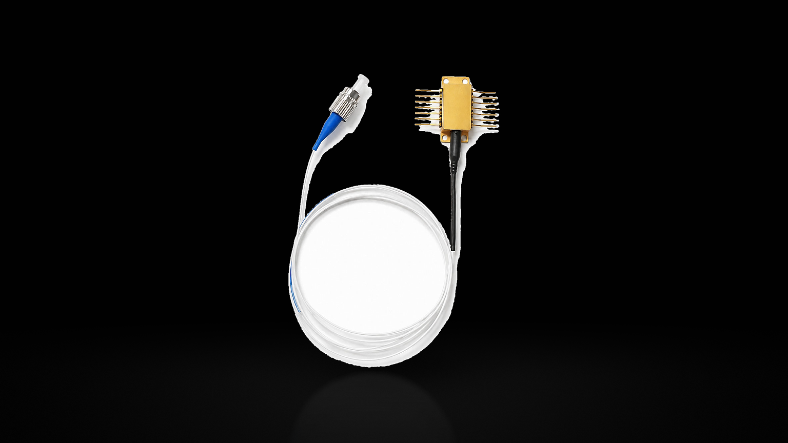 1950-FBG-ECDL product photograph